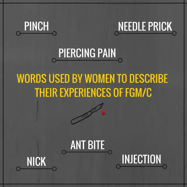 Anecdote from the WeSpeakOut survey on FGM in India. 