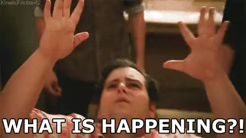 Both the NPF and BJP-NDPP camp right now.