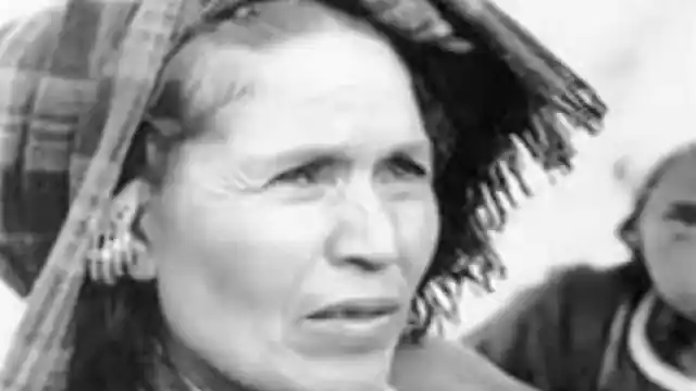 “Cut it, if you dare,” Gauri Devi challenged.