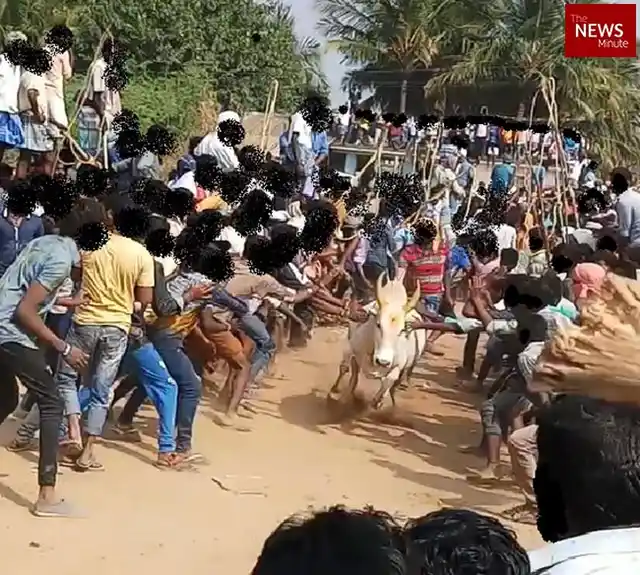 Deliberate cruelty, injury, and deaths are inherent in Jallikattu, says PETA India CEO Dr Manilal Valliyate.