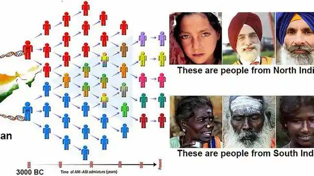 A popular myth that ‘Aryans’ and ‘Dravidians’ are a race, and that they are separate, continues to thrive.