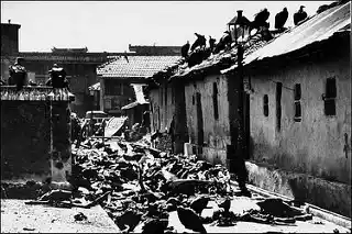 Vultures feeding on corpses, Calcutta, 1946. 