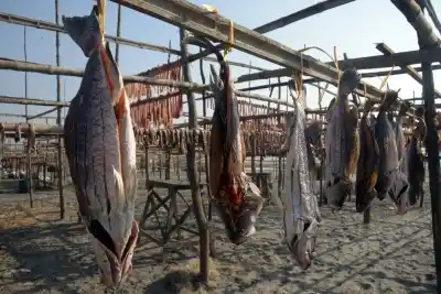 It has been advised to thoroughly wash fish with running water since the chemical is soluble in water before consuming.