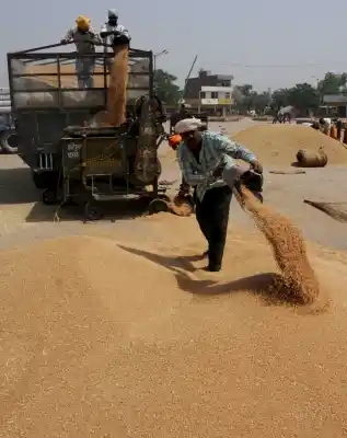 Grain Market (File Photo: IANS)