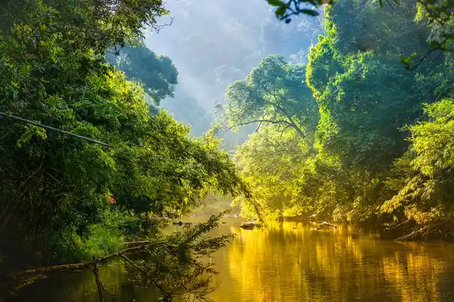 Heart of Darkness sees horror in the Congo’s rainforests. 