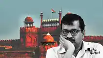 Can Statehood for Delhi Solve the LG vs AAP Power Tussle?