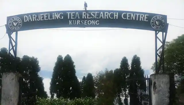 The Darjeeling Tea Research and Development Centre is suggesting several measures to deal with climate change.