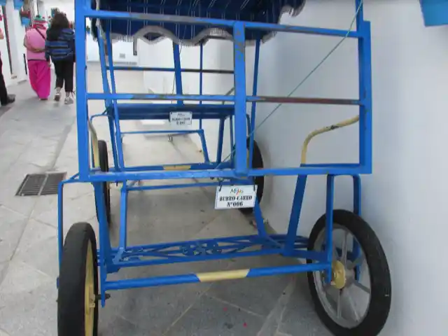 Mijas donkey cart.