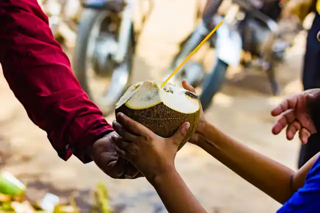 As our summer vacation started, the coconut vendor would become a regular visitor to our colony.