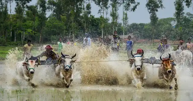 The race usually takes place in mid-June or early July.