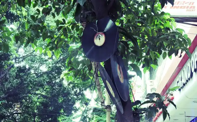 Damaged records recycled and hung from trees.
