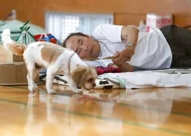 An evacuee lies on a bed while watching his pet dog at an evacuation center in Soja, Okayama prefecture, southwestern Japan, on Tuesday, 10 July.