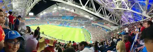 Aditya Shekhar wearing Portugal on his face at the magnificent Fisht Stadium.