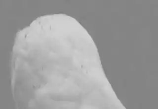 <br>