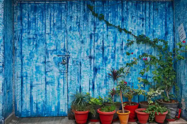 Hues of blue.