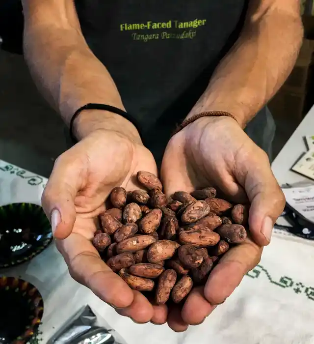 Alejandro Solano with Fine National Aroma Cacao from Ecuador.