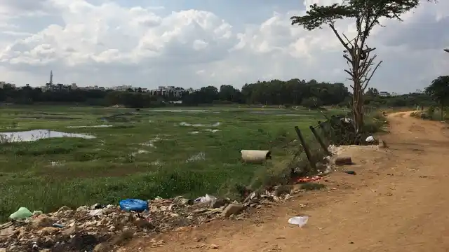 Children would walk across the Vibhutipura lake to play, seen here from right next to Praveen’s house. He was attacked 500 metres from this point. 