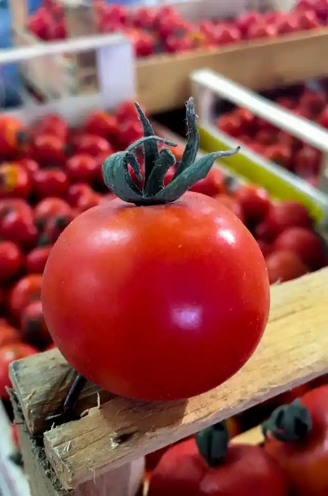 The Regina Tomato or ‘the queen tomato’. The name comes from the sepals of the tomato, which are in the shape of a crown.