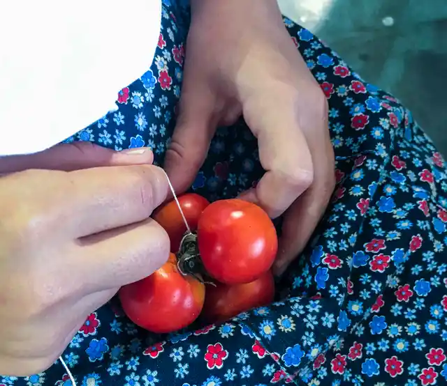 Even now, they tie the tomatoes with cotton thread and leave them out to dry; a tribute to the cotton-producing tradition of the region.