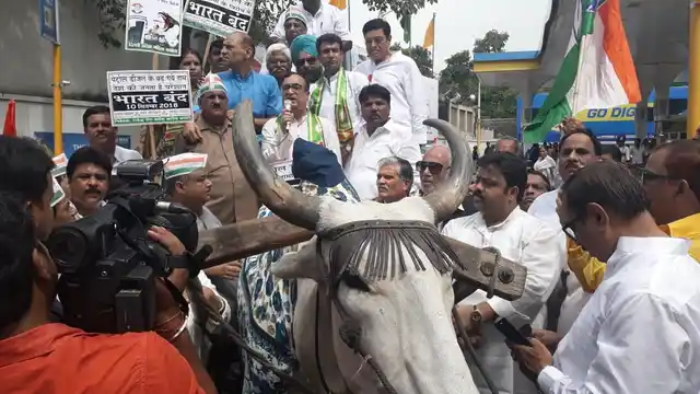 Congress workers led by Ajay Maken carried a motorcycle on a bullock cart.