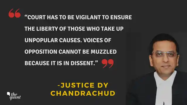 Justice DY Chandrachud said an SIT probe was required in the Bhima Koregaon case.