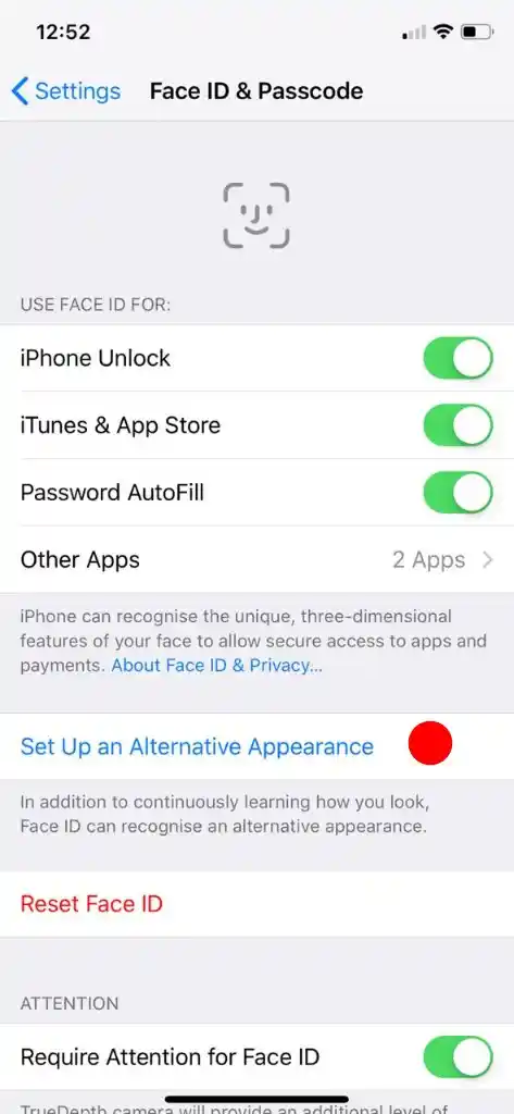 The Setup Alternative Appearance feature lets you add another Face ID.