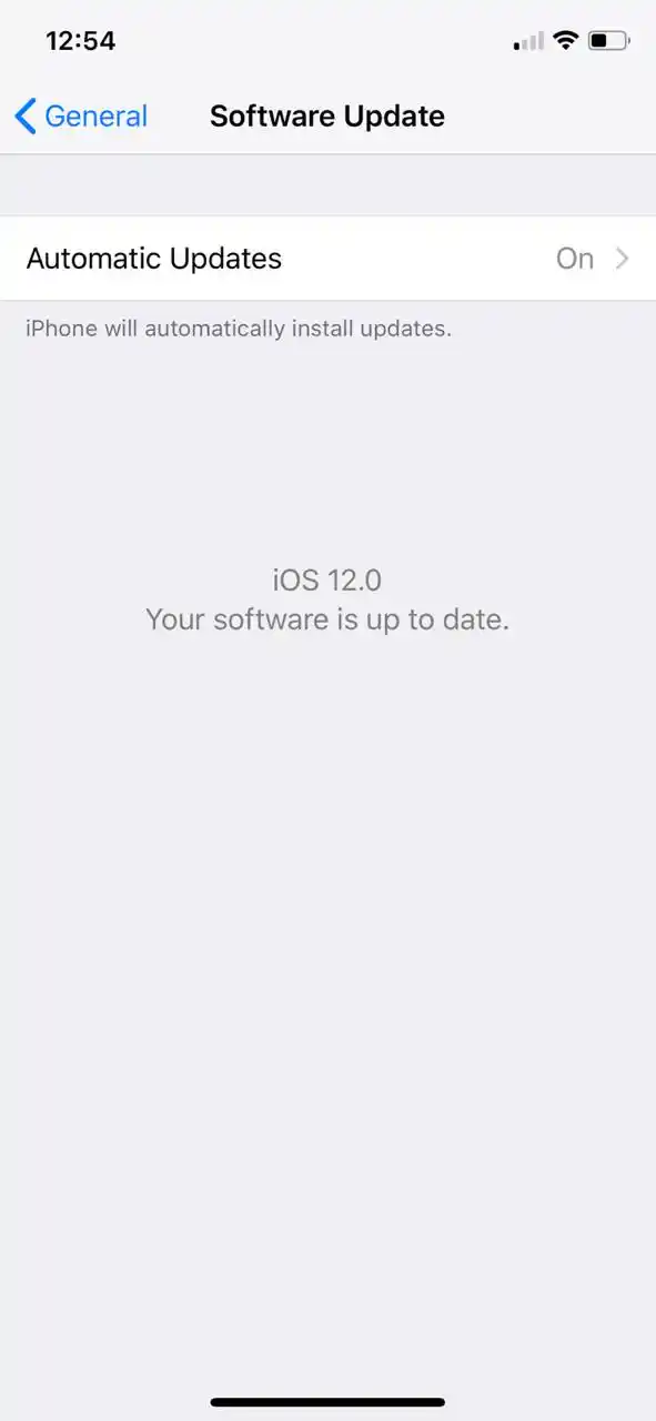 Automatic Updates can also be deactivated.