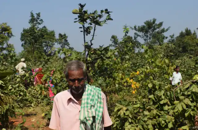 The district administration was all set to clear the forest on 12 acres of land since the Chief Minister performed the groundbreaking ceremony for a brewing industry.