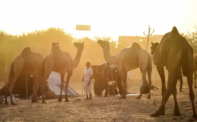 This time the fair started as a low-key affair as a code of conduct is in place ahead of the state Assembly elections.