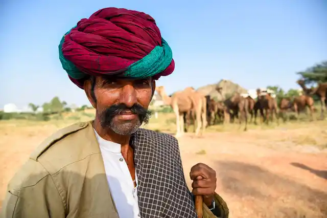 The cattle owners are not optimistic about doing good business and rates of cattle have remained low for the past few years. “We are now breeding less camels because there is no demand as we cannot sell outside the state,” said Aman Raberi, a herder from Ajmer district.