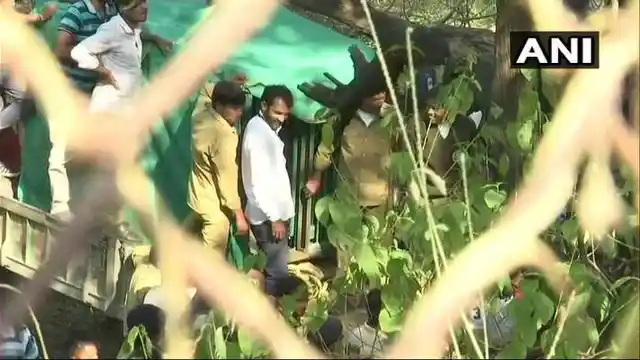 Trackers and Forest Department Personnel move the caged leopard out of the Sachivalaya.
