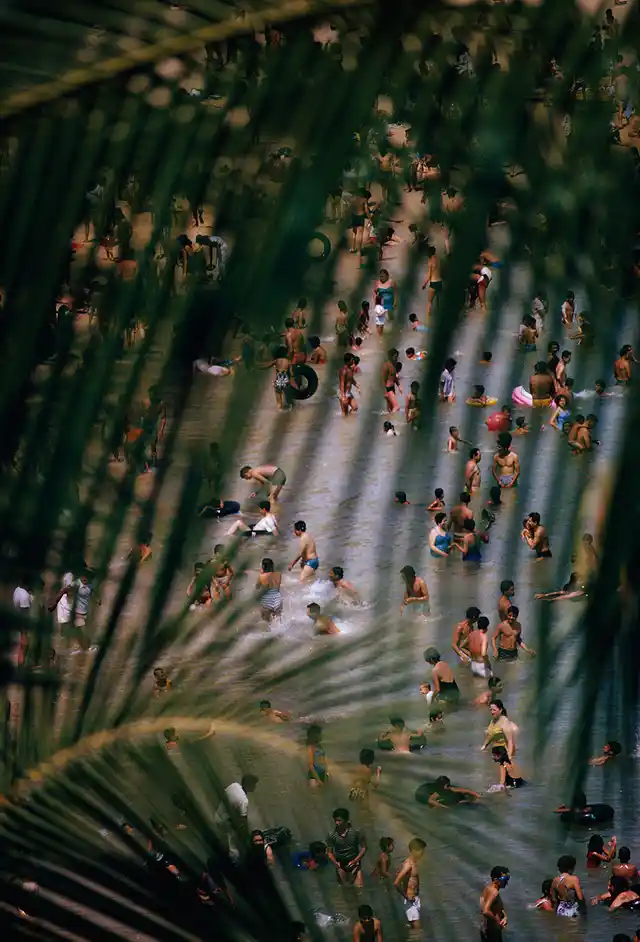 Dozens of visitors frolic in the water as seen through a palm frond in Acapulco, Mexico, 1964.