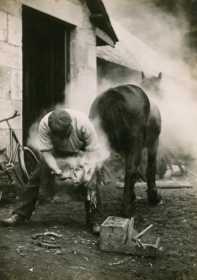 A farmer buring the hoof of a horse before shoeing it in Scotland, May 1921.