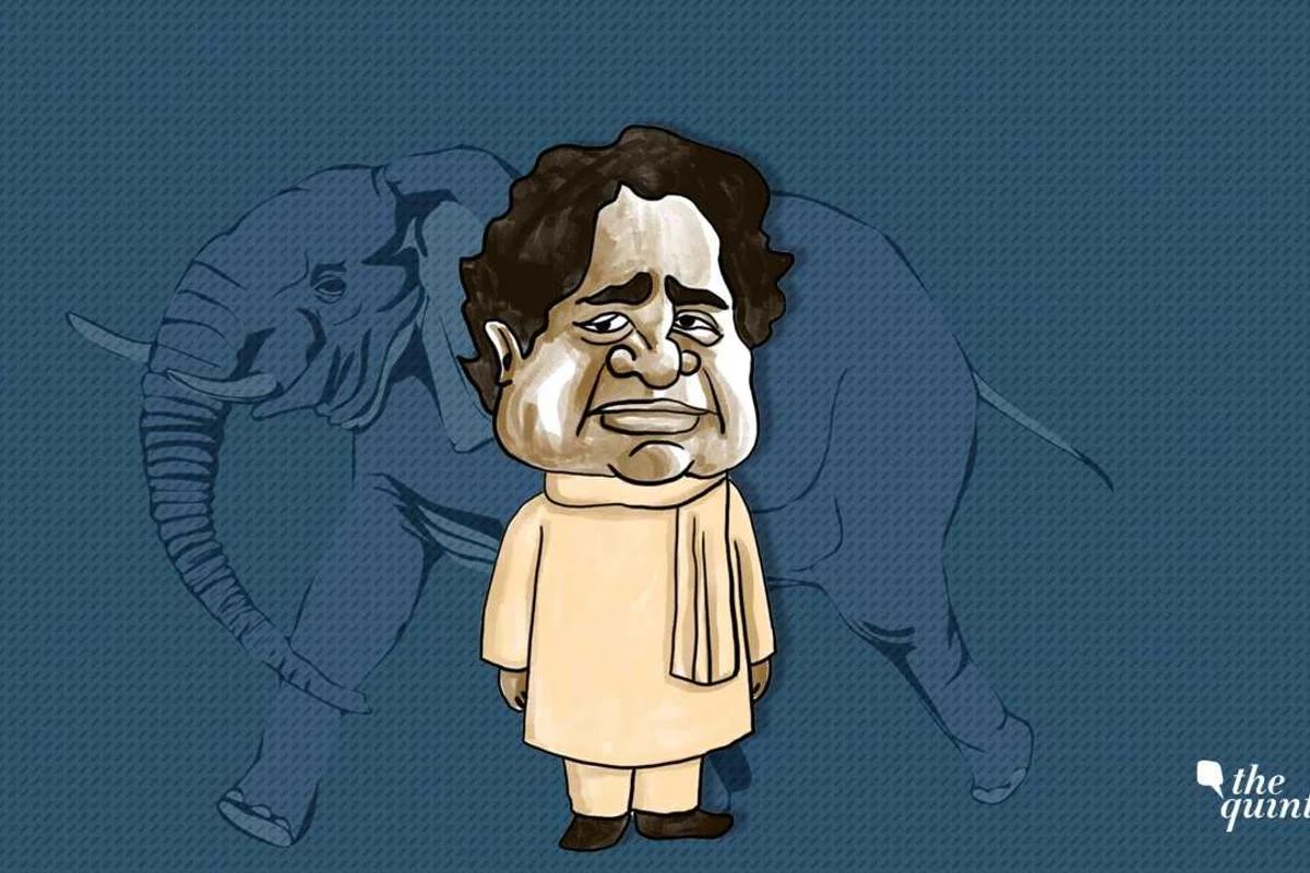 4 Charts Show How Mayawati S Bsp Is Losing Ground Across India