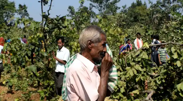 The land patch remained Sabik Kisam forest land till 1988 and then was converted to non-forest land and transferred later in Favour of Industrial Development Corporation on Odisha.