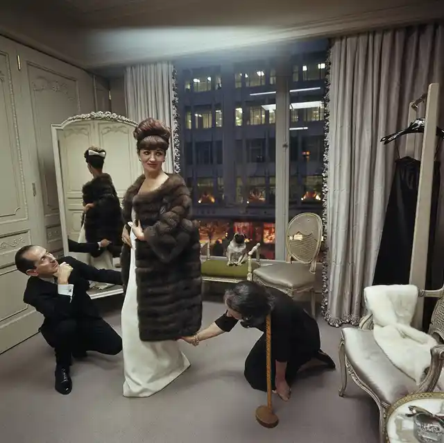 A woman shops for a fur coat at Bergdorf Goodman in New York City. Her Chinese pug, Miss Puffet, sits on a nearby chaise, December 1964.