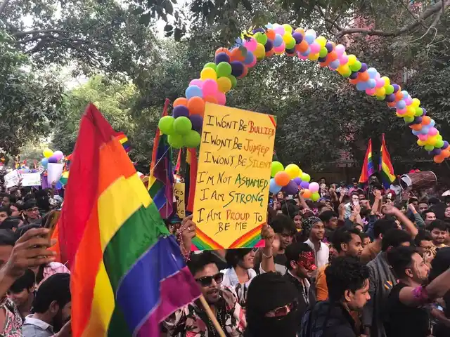 There are about 300 members in the Delhi Queer Pride organising committee.