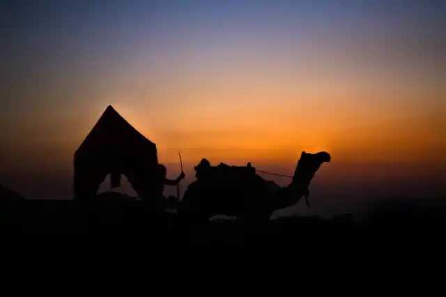 Locals say, as the cattle owners start returning to their hometowns and villages, the religious festival starts in Pushkar. In last few years, the religious fair has become more important than the cattle fair. And so, the number of foreign tourists has decreased in the last few years.