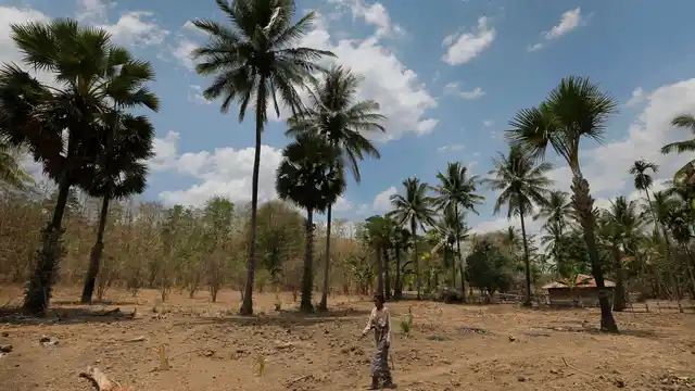 A woman walks across the dry dirt grounds of a village in West Timor, Indonesia.
