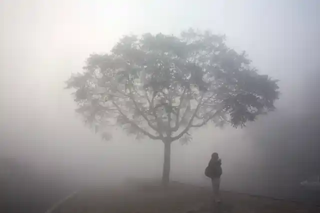 A commuter waits for transport on a road enveloped with early morning smog in New Delhi on Tuesday, 1 January 2019. Air quality in the capital region, already the worst in the world, is hovering between ‘severe’ to ‘poor’ category.