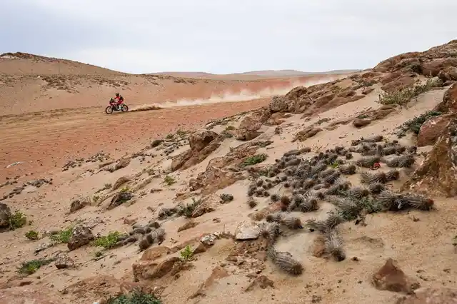 A biker zooms past the tough tarmac.