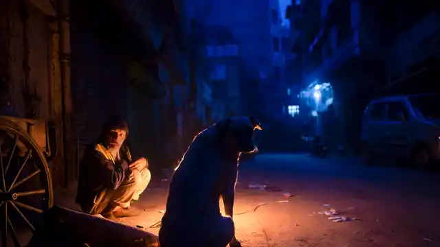 A man sits with a street dog near a bonfire on a cold winter morning at Chandni Chowk in old Delhi on 6 February.
