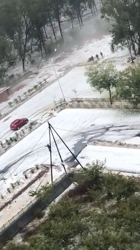 Monica Ruparelia clicked this photo from her balcony.
