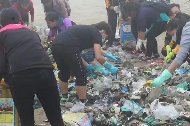 Scavengers group on a cleaning spree.