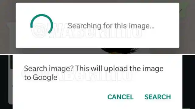 Image will be searched on the web.