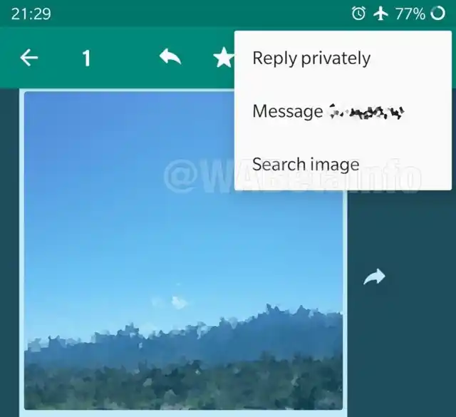 This is where the search image option will show up on WhatsApp.
