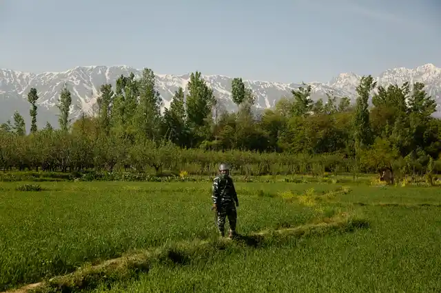 An Indian paramilitary soldier stands guard by a paddy field outside a polling station during the third phase of India’s general elections, at Verinag, south of Srinagar.