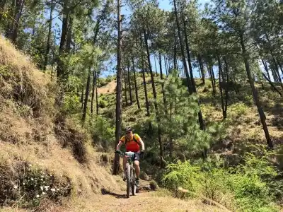 Shimla: Cyclist in action as he takes part in 8th edition of Hero MTB Himalaya Shimla 2019, in Shimla, on April 21, 2019. (Photo: IANS)