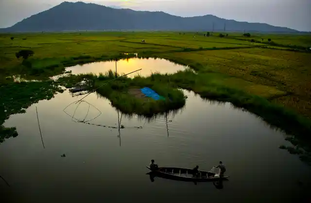 Fishermen at work on a country boat near a paddy field on the outskirts of Guwahati. 