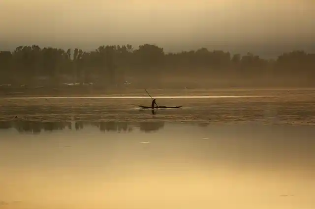 A Kashmiri man removes weed from the Dal Lake early in the morning in Srinagar.